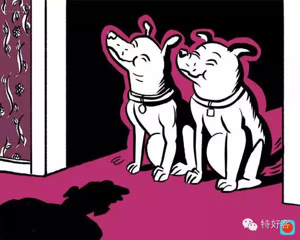 【生活妙招】专家说：你死后猫会吃你的脸但狗会(图3)
