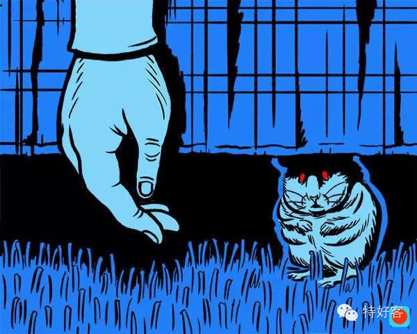 【生活妙招】专家说：你死后猫会吃你的脸但狗会(图7)