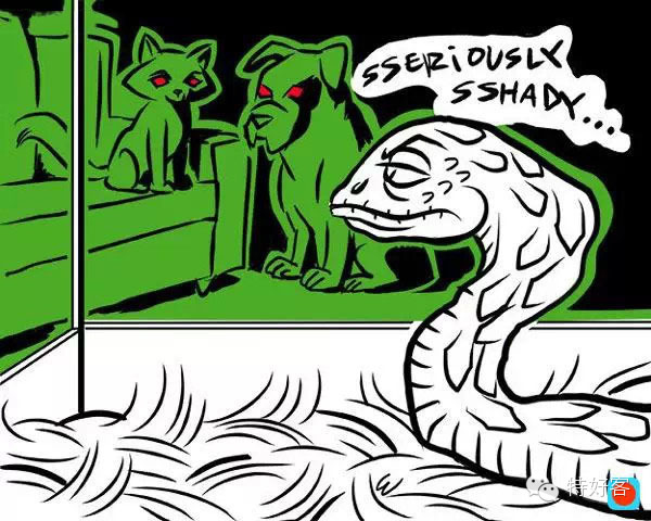 【生活妙招】专家说：你死后猫会吃你的脸但狗会(图8)