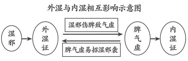彩神天气越热湿气越重送你3个小妙招祛除湿热寒湿痰湿！(图6)