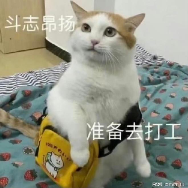无忧留学为你揭秘澳洲留学省钱妙招！25fall必看秘籍！(图2)