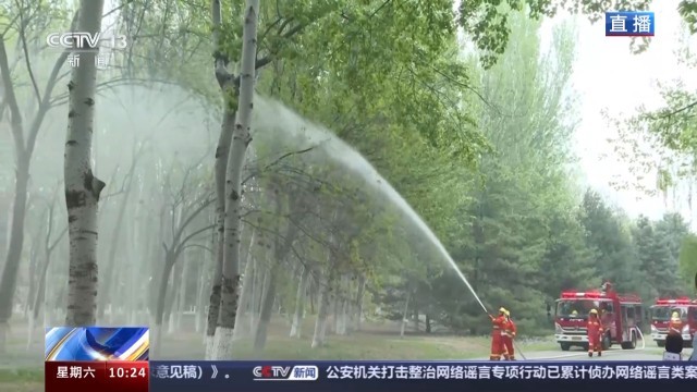 北方多地进入杨柳飞絮高发期 如何科学治理？(图3)