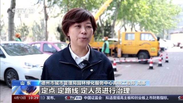 北方多地进入杨柳飞絮高发期 如何科学治理？(图12)